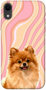Чехол Pastel spitz для iPhone XR