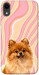 Чехол Pastel spitz для iPhone XR
