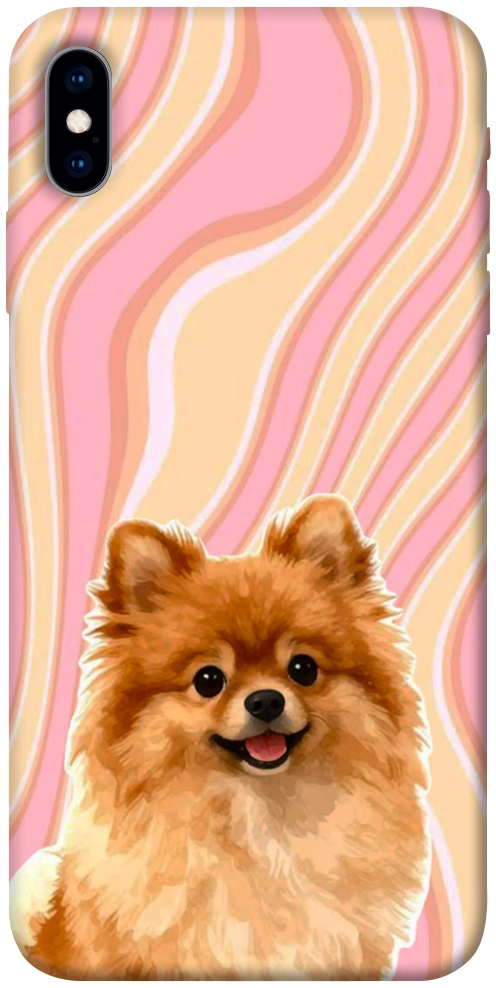 Чохол Pastel spitz для iPhone X