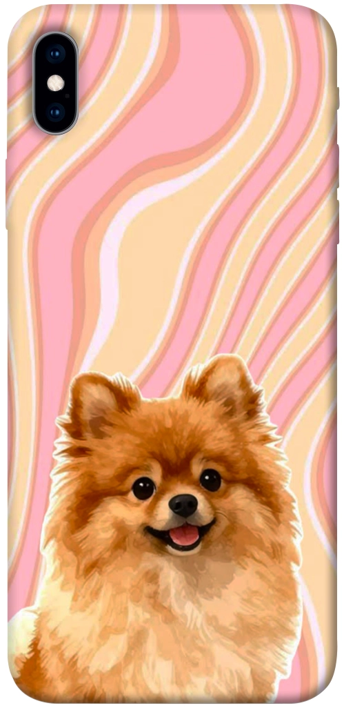 Чохол Pastel spitz для iPhone XS Max