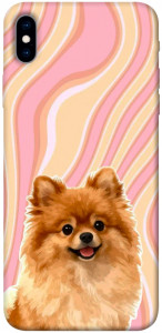 Чехол Pastel spitz для iPhone XS Max