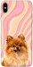 Чохол Pastel spitz для iPhone XS Max