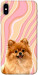 Чехол Pastel spitz для iPhone XS