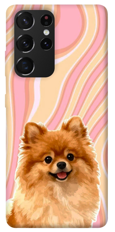 Чехол Pastel spitz для Galaxy S21 Ultra