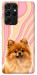 Чехол Pastel spitz для Galaxy S21 Ultra