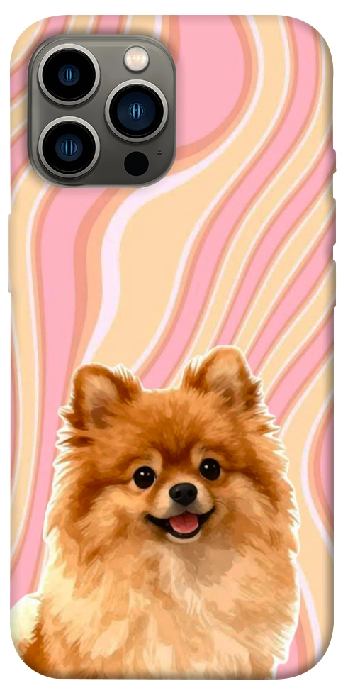 Чехол Pastel spitz для iPhone 13 Pro Max