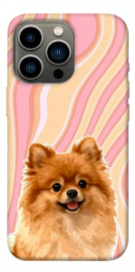 Чехол Pastel spitz для iPhone 13 Pro