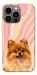 Чехол Pastel spitz для iPhone 13 Pro