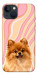 Чехол Pastel spitz для iPhone 13
