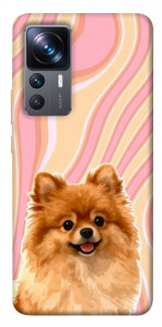 Чохол Pastel spitz для Xiaomi 12T