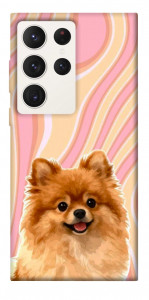 Чехол Pastel spitz для Galaxy S23 Ultra