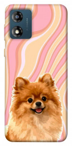 Чехол Pastel spitz для Motorola Moto E13