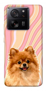 Чехол Pastel spitz для Xiaomi 13T