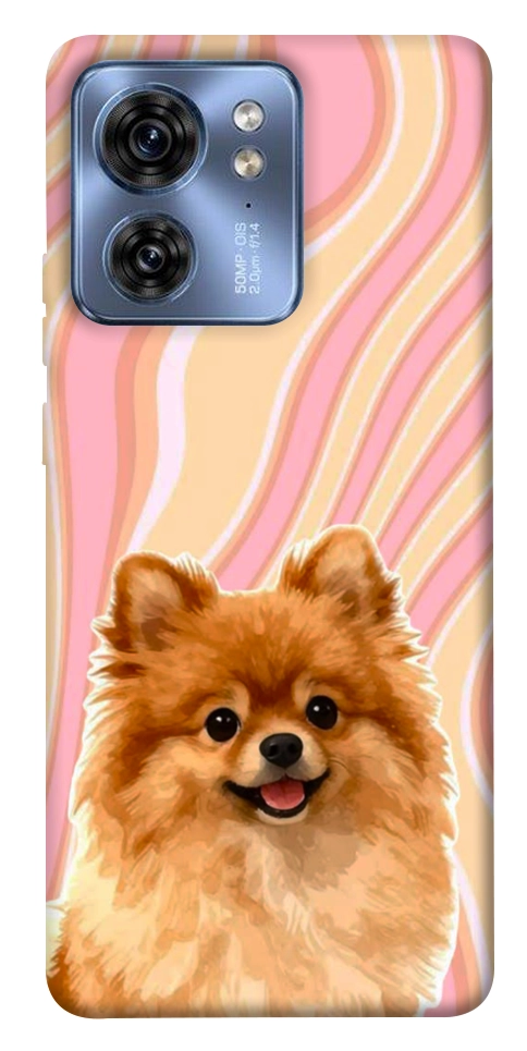 Чехол Pastel spitz для Motorola Edge 40