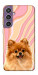 Чехол Pastel spitz для Galaxy S23 FE