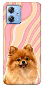 Чехол Pastel spitz для Motorola Moto G84