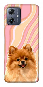 Чохол Pastel spitz для Motorola Moto G54