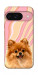 Чохол Pastel spitz для Google Pixel 9