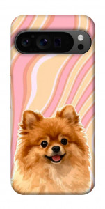 Чехол Pastel spitz для Google Pixel 9 Pro