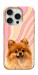 Чохол Pastel spitz для iPhone 16 Pro Max