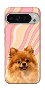 Чехол Pastel spitz для Google Pixel 9 Pro XL