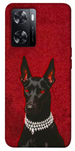 Чехол Premium doberman для Oppo A77s