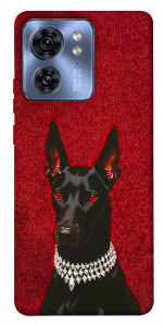 Чохол Premium doberman для Motorola Edge 40