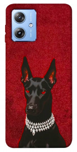 Чехол Premium doberman для Motorola Moto G84