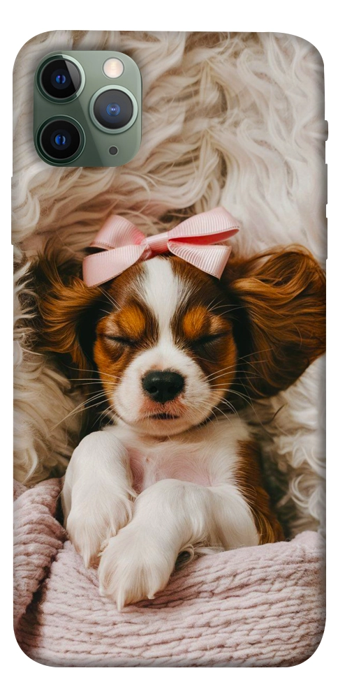 Чехол Sleepy spaniel для iPhone 11 Pro Max