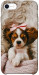 Чехол Sleepy spaniel для iPhone SE (2020)