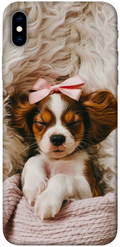 Чохол Sleepy spaniel для iPhone XS Max