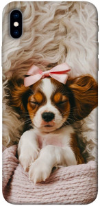 Чехол Sleepy spaniel для iPhone XS Max