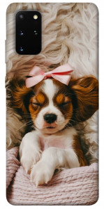 Чехол Sleepy spaniel для Galaxy S20 Plus (2020)