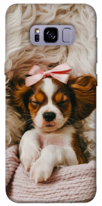 Чехол Sleepy spaniel для Galaxy S8+