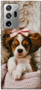 Чехол Sleepy spaniel для Galaxy Note 20 Ultra