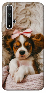 Чехол Sleepy spaniel для Huawei Nova 5T