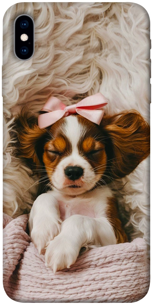 Чехол Sleepy spaniel для iPhone XS
