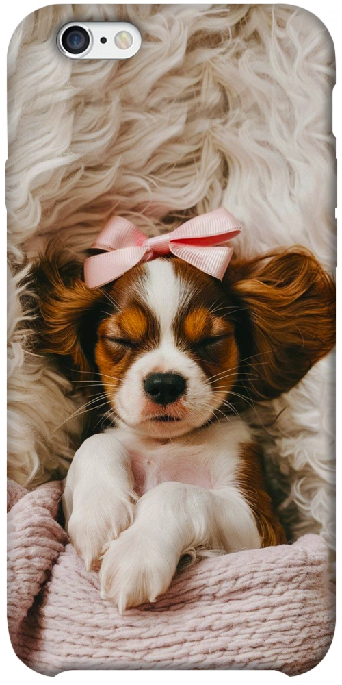 Чехол Sleepy spaniel для iPhone 6S Plus