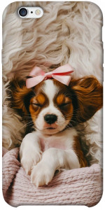 Чехол Sleepy spaniel для iPhone 6s plus (5.5'')