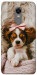 Чехол Sleepy spaniel для Xiaomi Redmi Note 5 (Single Camera)