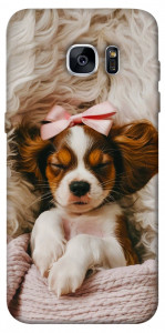 Чохол Sleepy spaniel для Galaxy S7 Edge