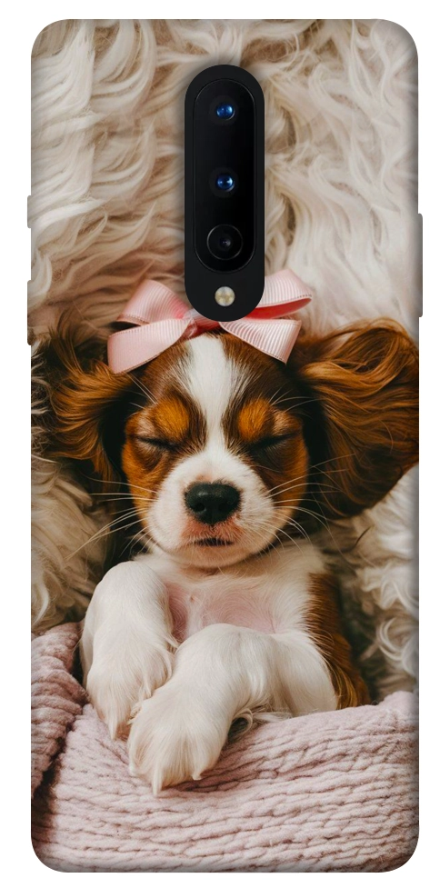 Чехол Sleepy spaniel для OnePlus 8