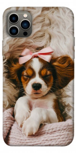 Чехол Sleepy spaniel для iPhone 12 Pro