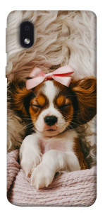 Чохол Sleepy spaniel для Samsung Galaxy A01 Core