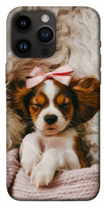 Чехол Sleepy spaniel для iPhone 14 Pro Max