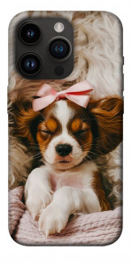 Чехол Sleepy spaniel для iPhone 14 Pro