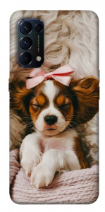 Чохол Sleepy spaniel для Oppo Reno 5 4G
