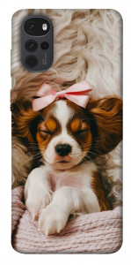 Чохол Sleepy spaniel для Motorola Moto G22