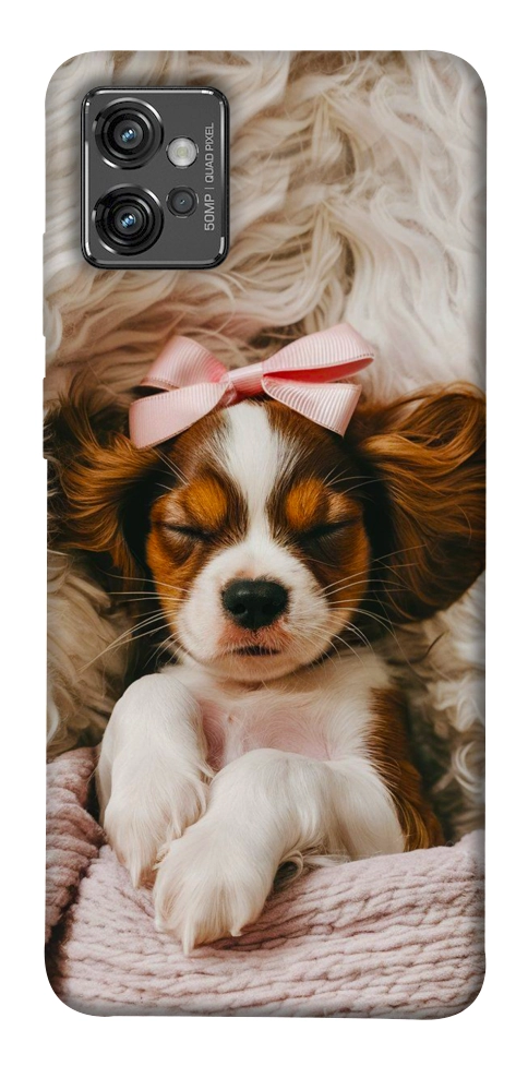 Чехол Sleepy spaniel для Motorola Moto G32