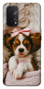 Чохол Sleepy spaniel для Oppo A54 5G